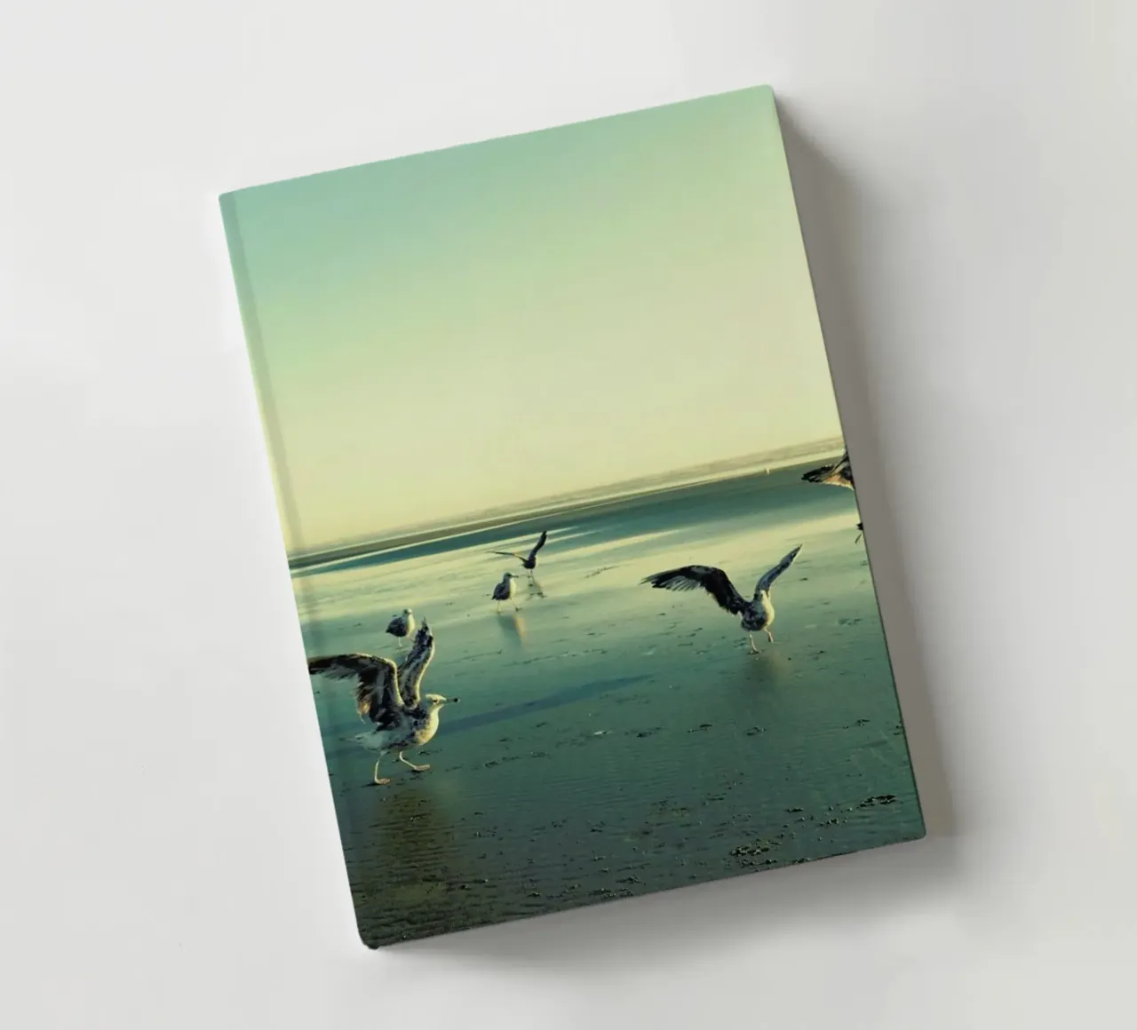 Don't Quit notebook by Robin Delean