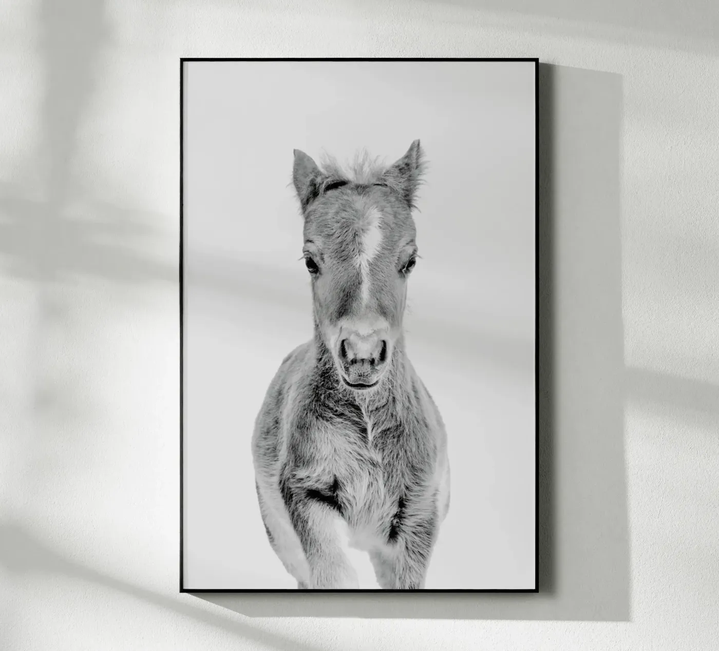 Foal Classic plexiglas de Paws & Claws