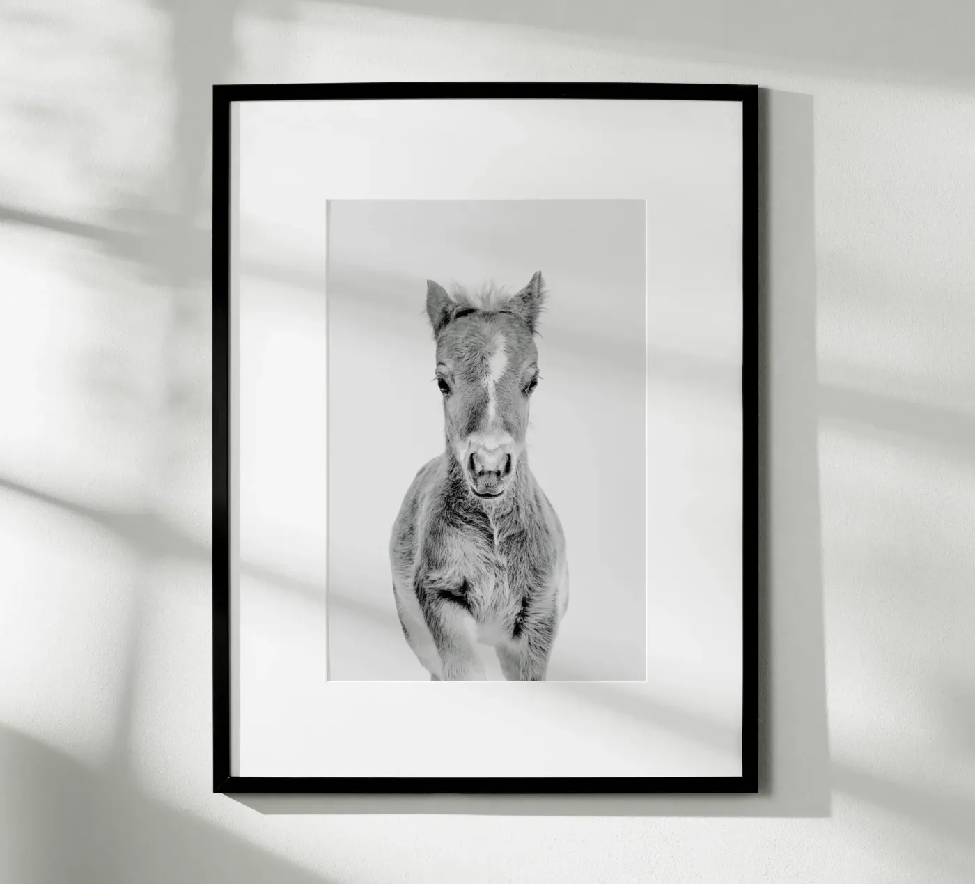 Foal Classic poster da Paws & Claws