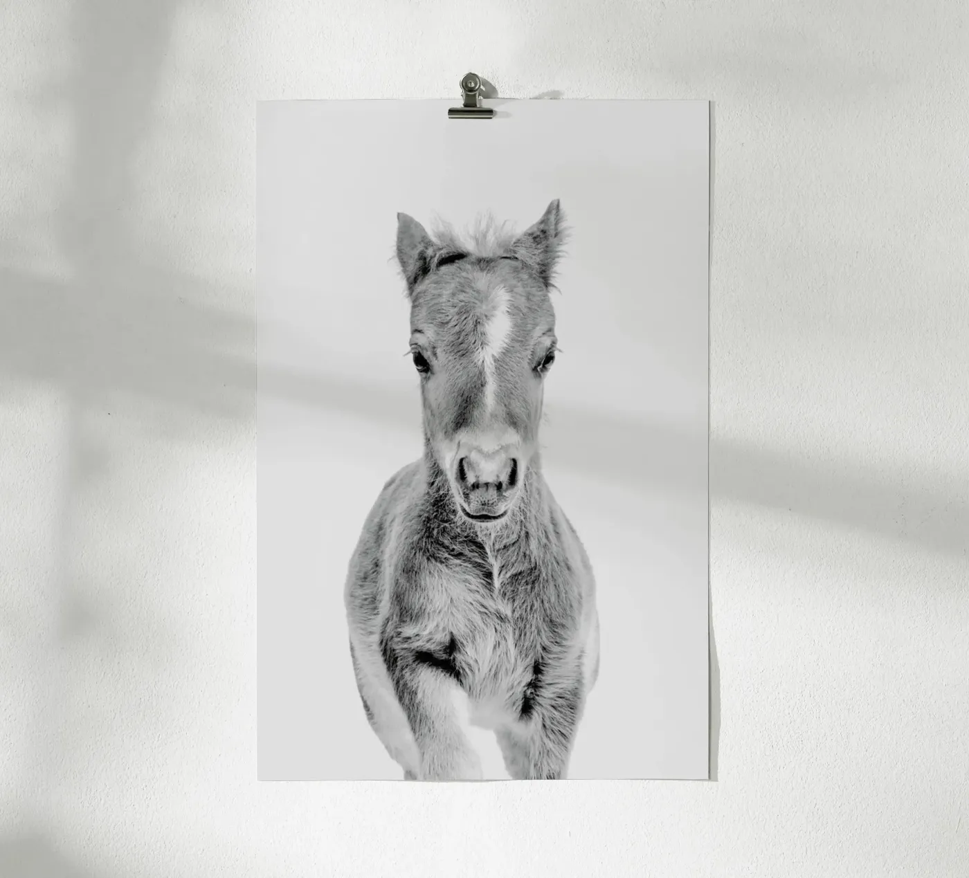 Foal Classic poster da Paws & Claws