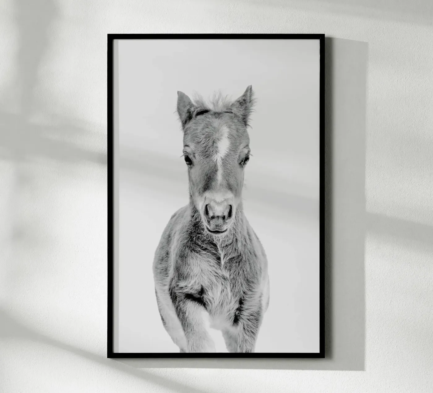 Foal Classic poster da Paws & Claws