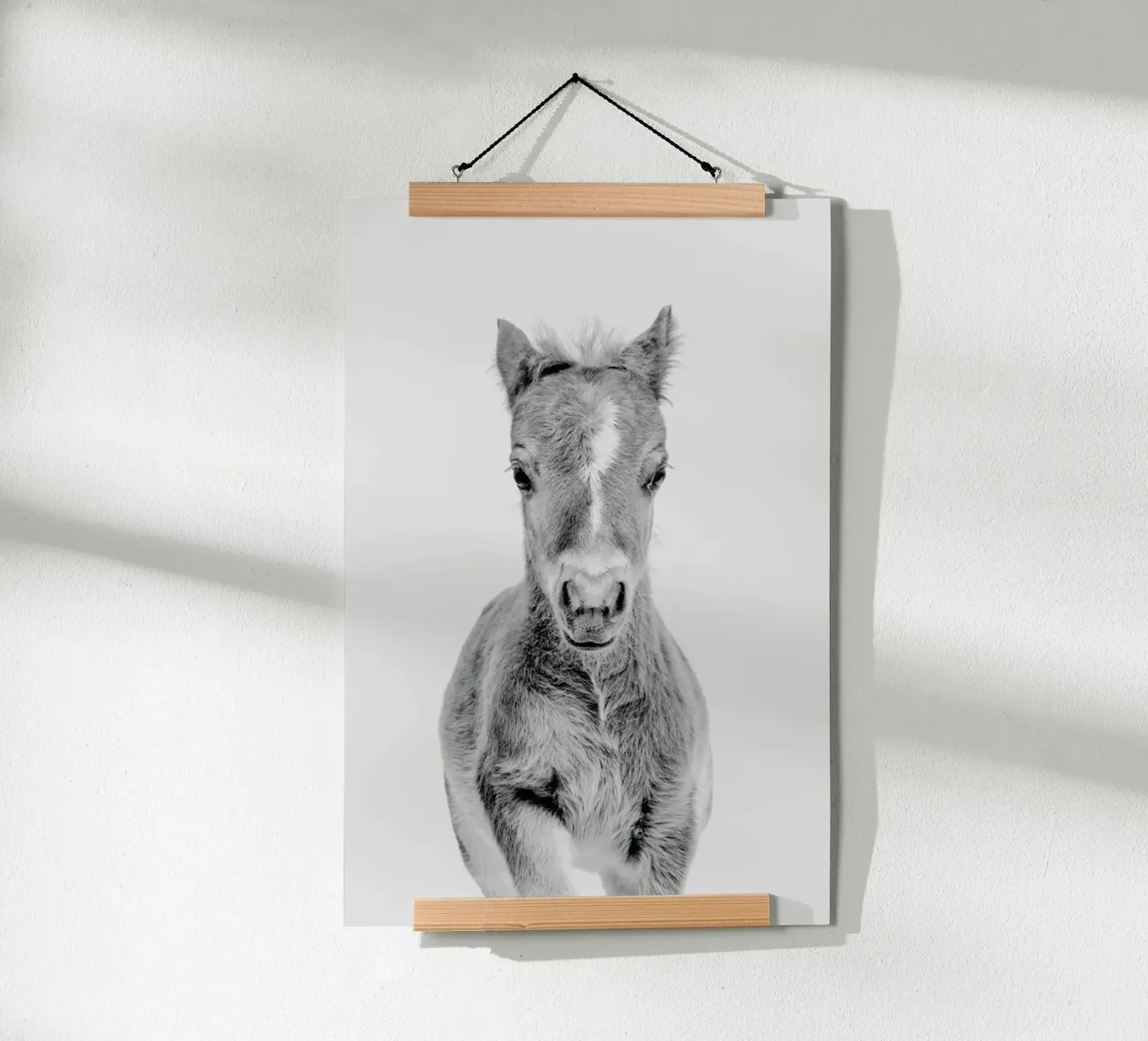 Foal Classic poster da Paws & Claws