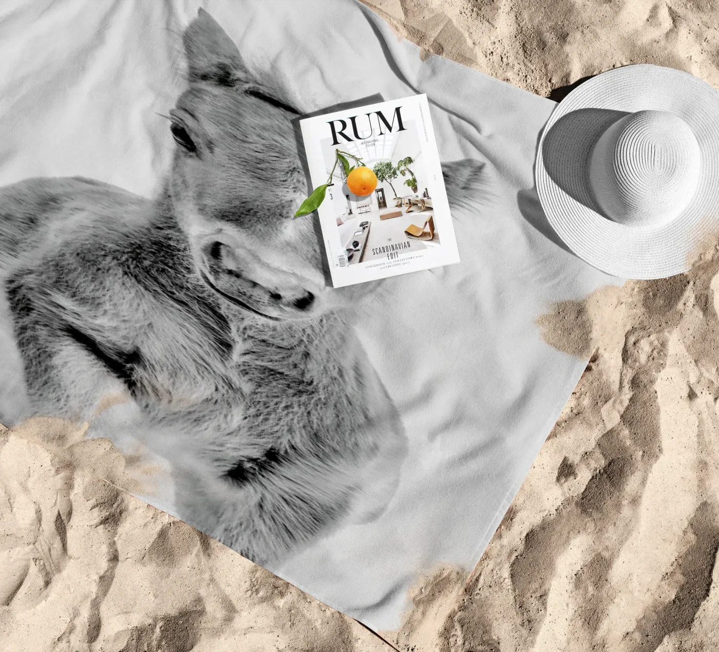 Foal Classic telo mare da Paws & Claws