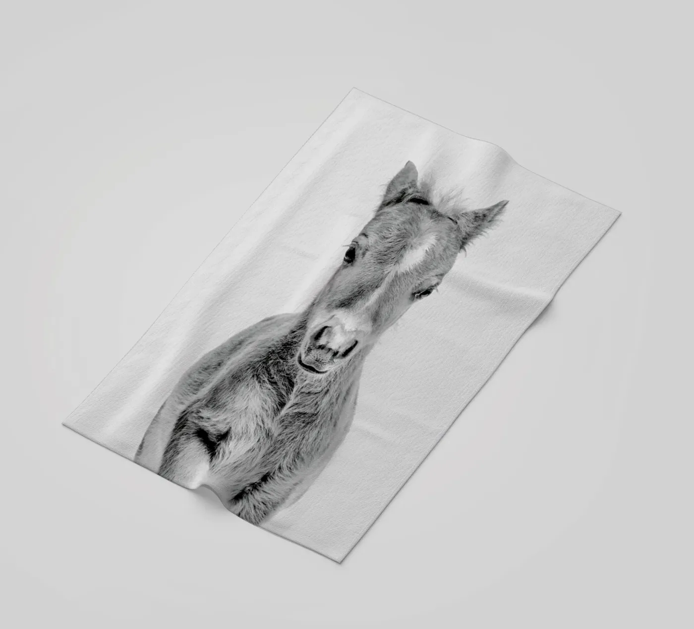 Foal Classic telo mare da Paws & Claws