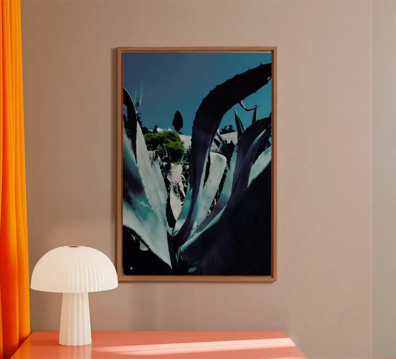 Aloe Vera Leaf placa de forex de Sebastian Hilgetag