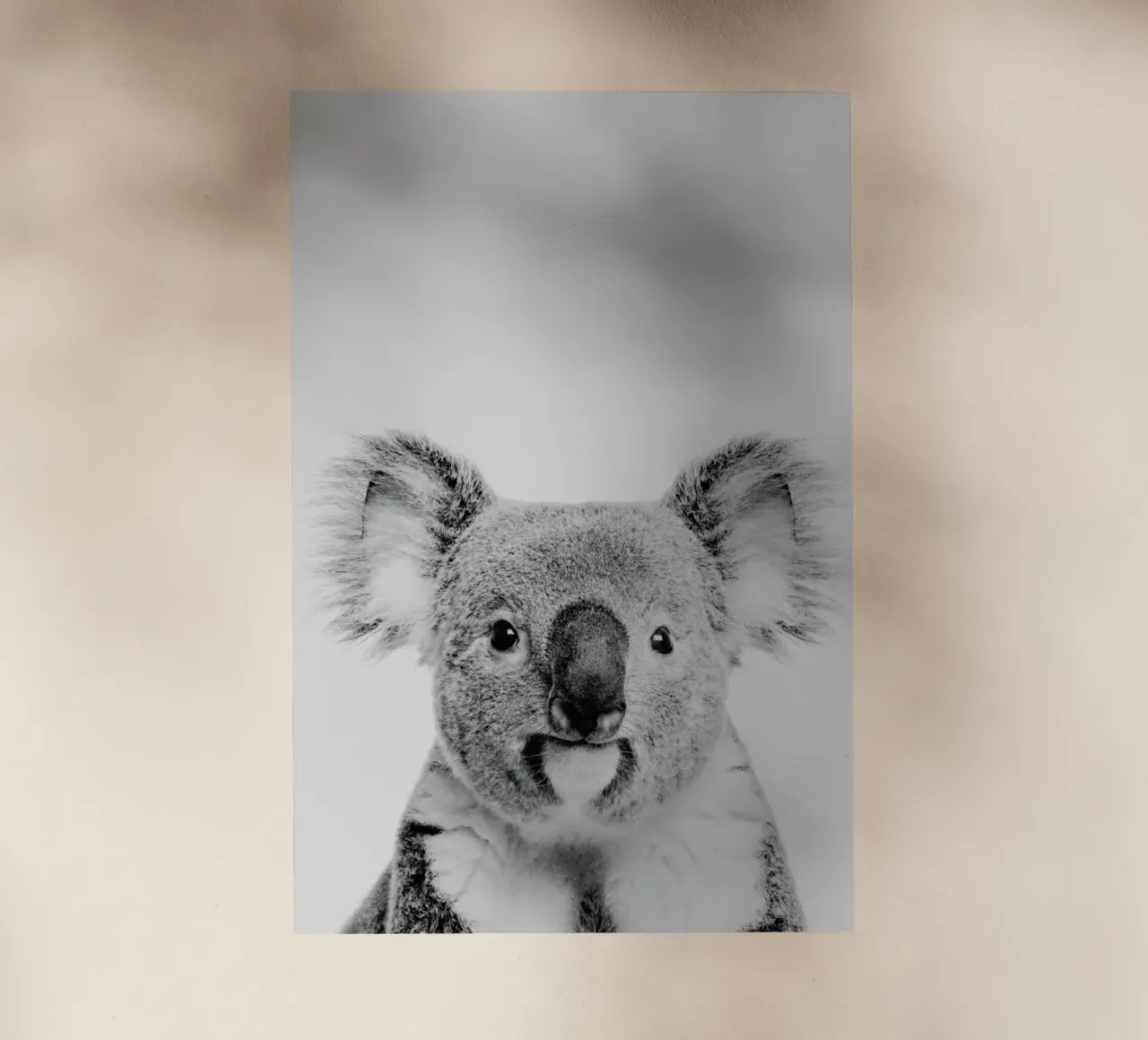 Koala Classic pellicola backlit da Paws & Claws