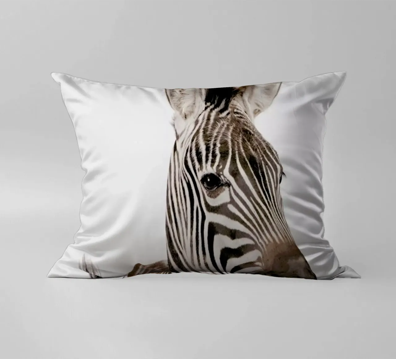 Zebra cojín de Paws & Claws