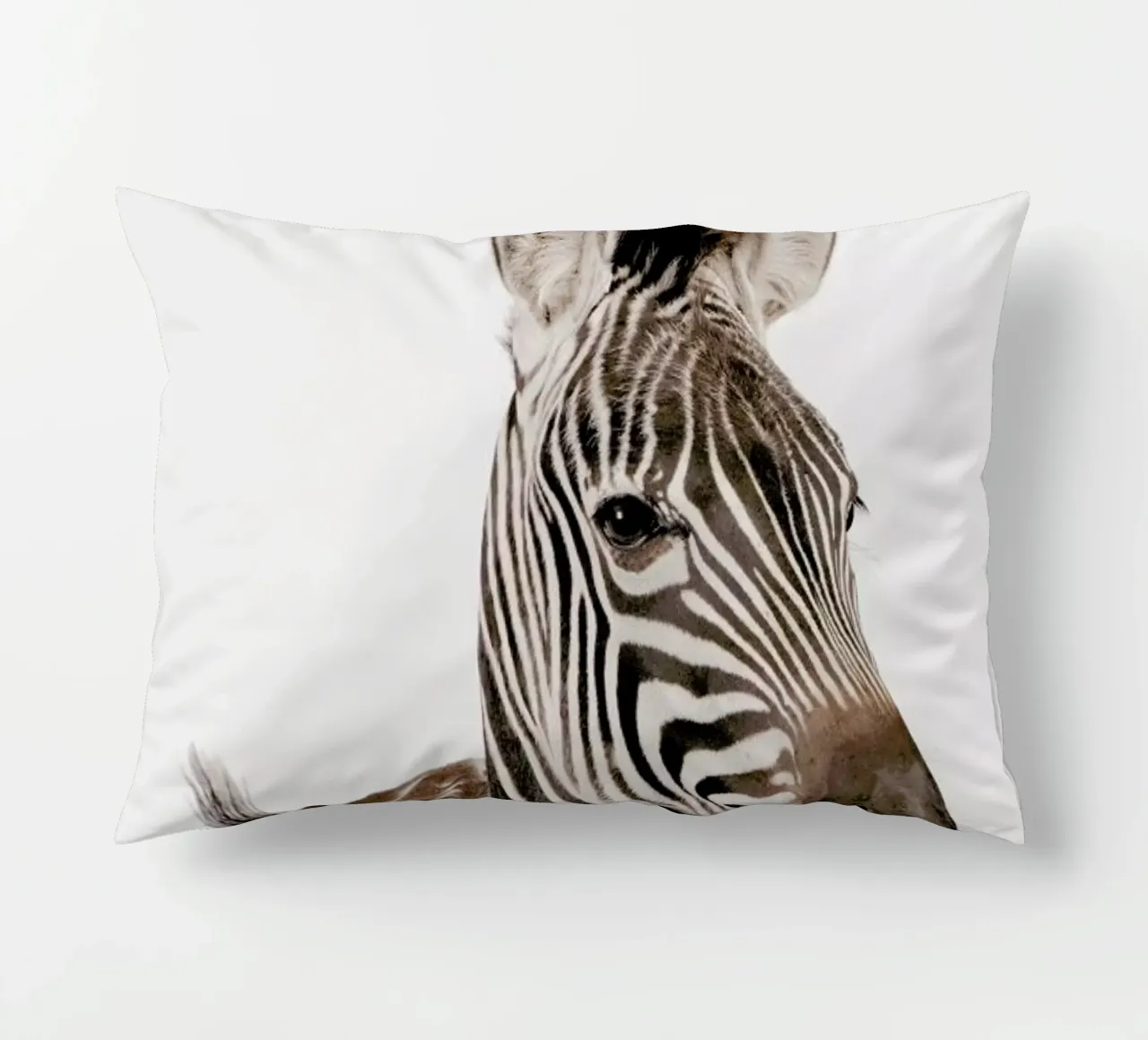 Zebra cuscino da Paws & Claws
