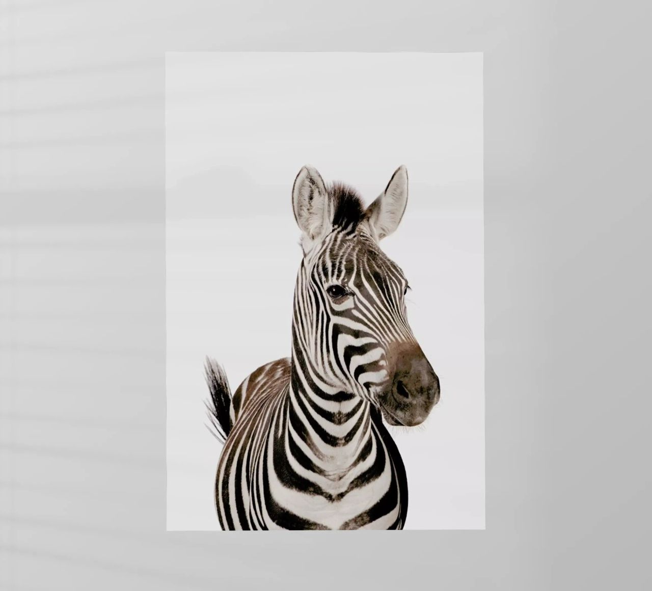 Zebra pellicola backlit da Paws & Claws