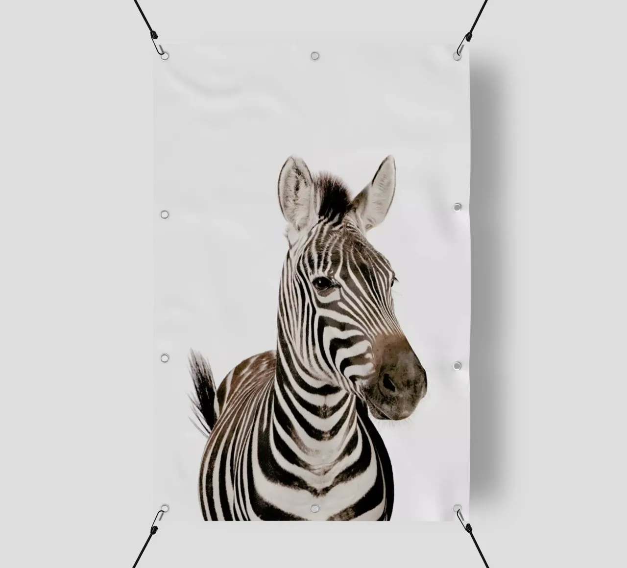 Zebra telo in pvc da Paws & Claws