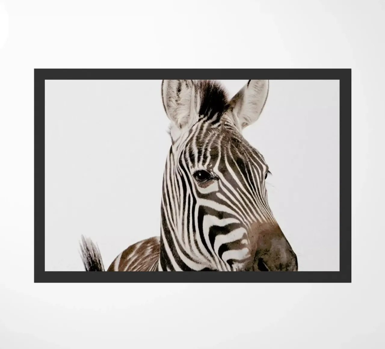 Zebra zerbino da Paws & Claws