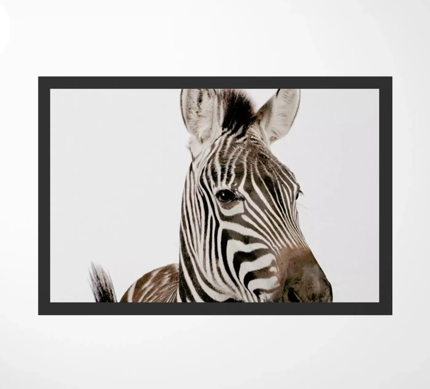 Zebra Fußmatte von Paws & Claws