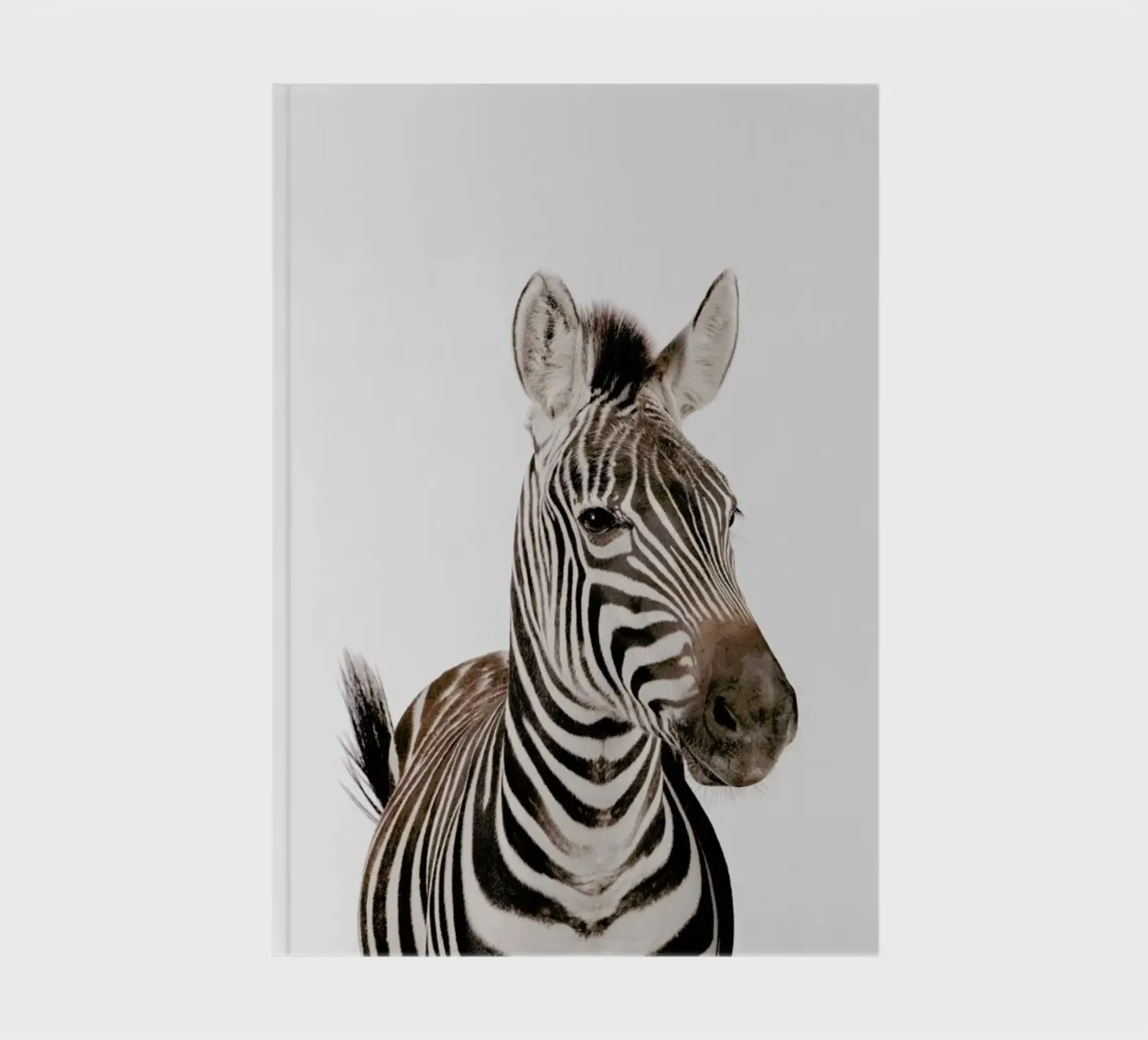 Zebra notebook by Paws & Claws