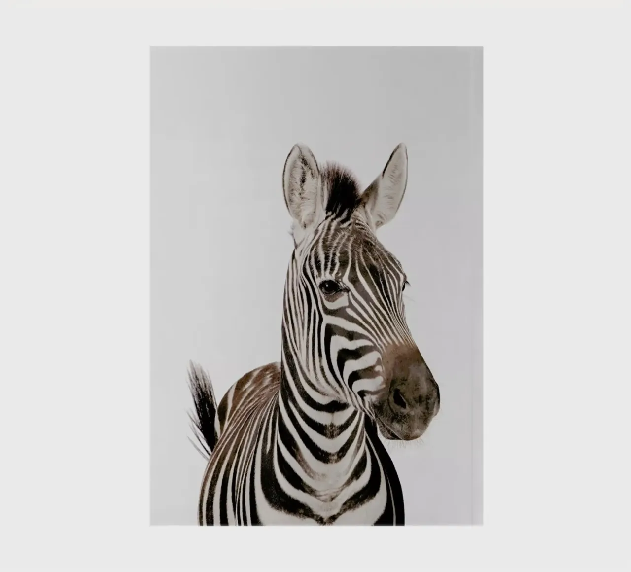 Zebra notebook by Paws & Claws
