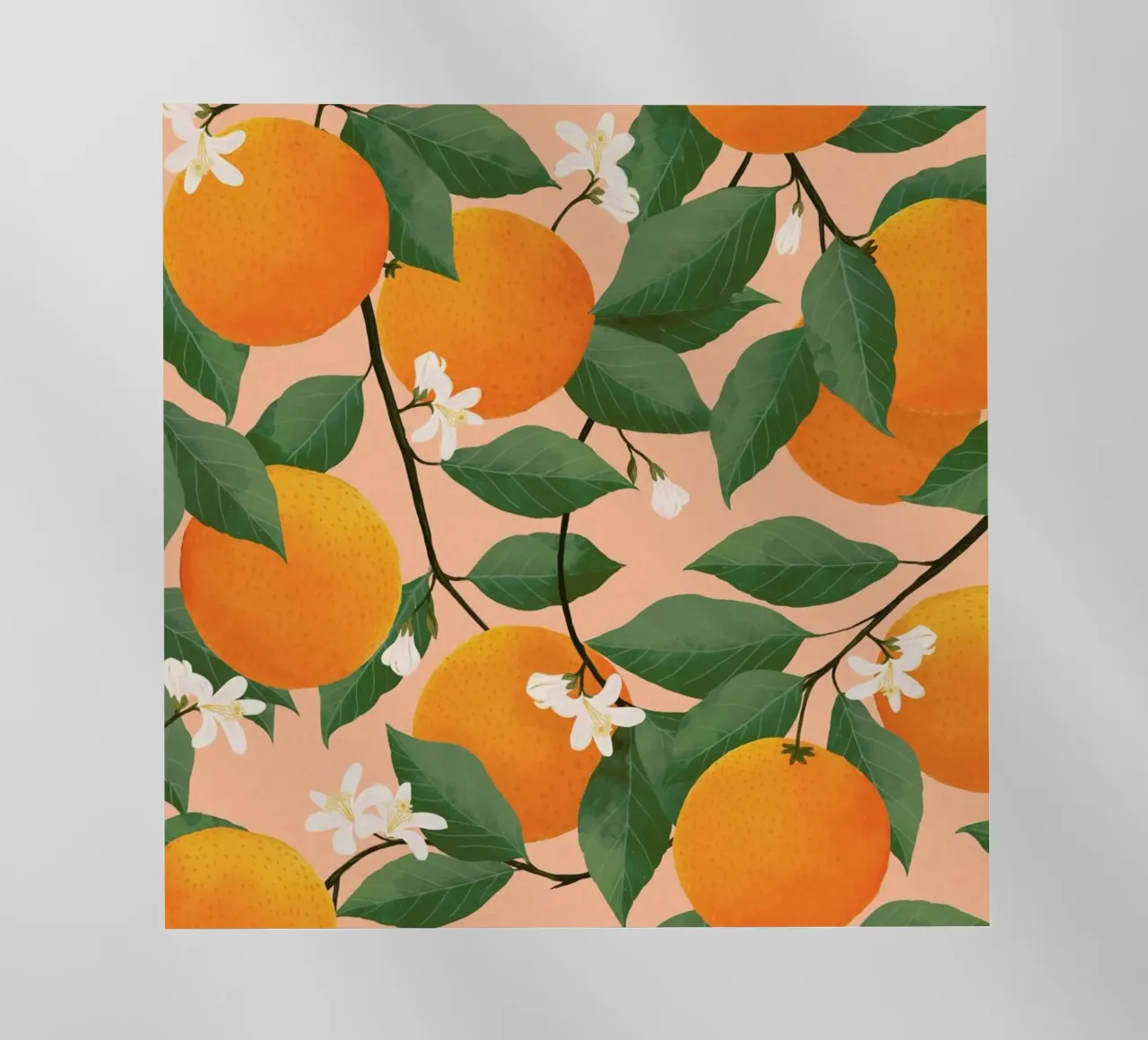 Fresh Citrus pellicola backlit da Laura Graves