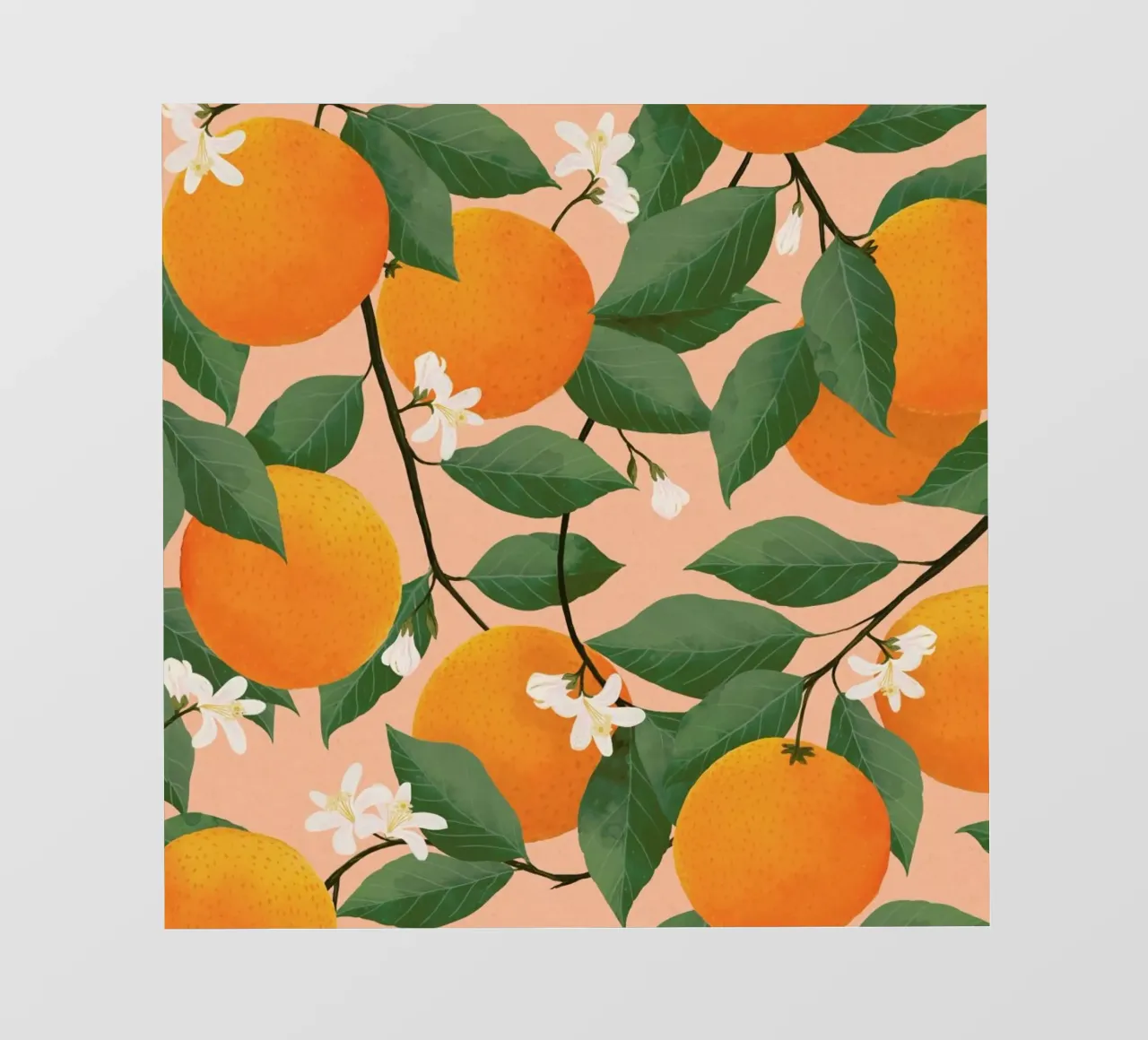 Fresh Citrus pellicola backlit da Laura Graves