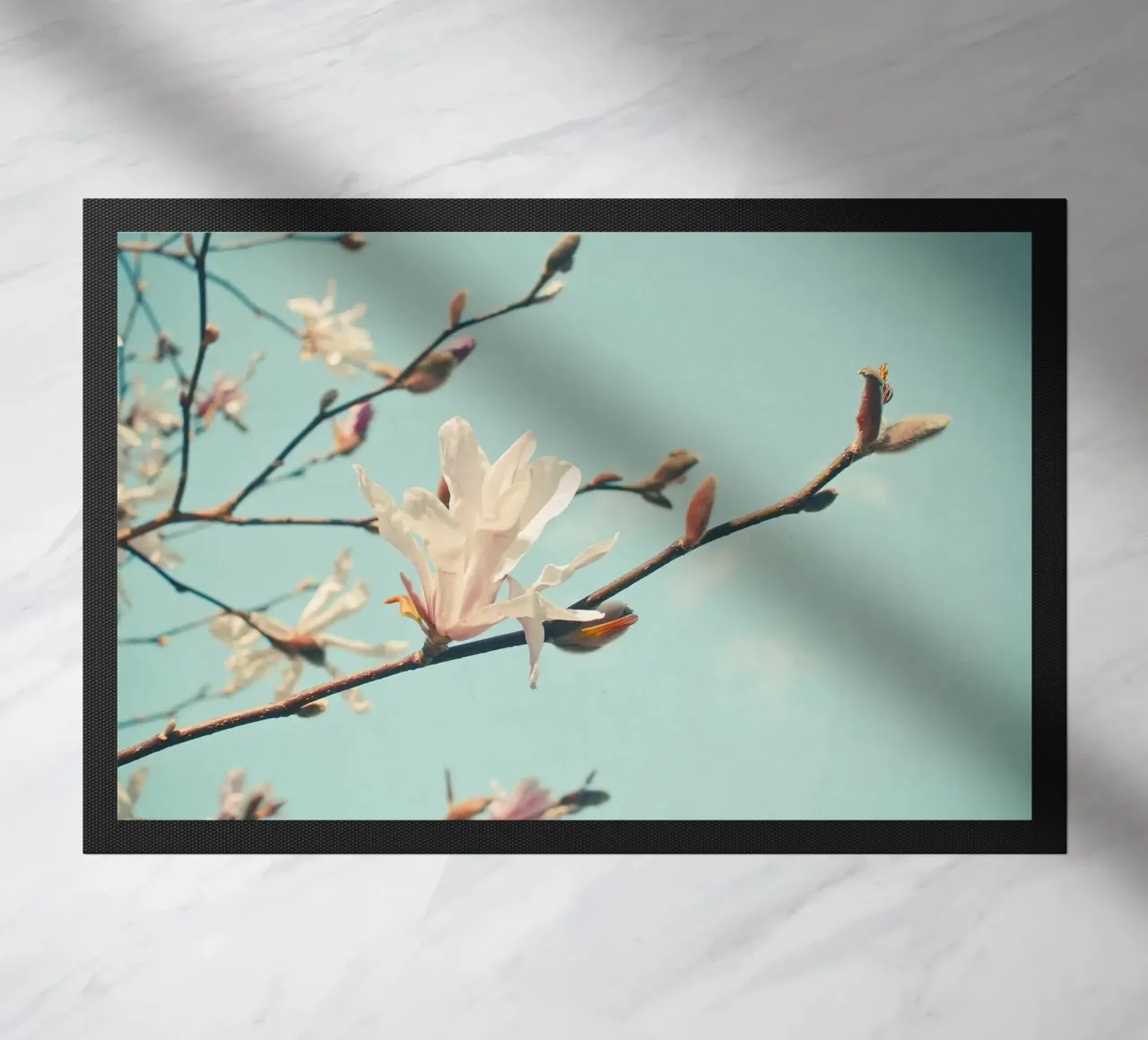 Petali di carta zerbino da Cassia Beck Photography