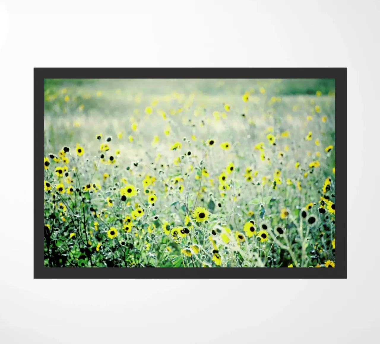 I Will Wait zerbino da Robin Delean