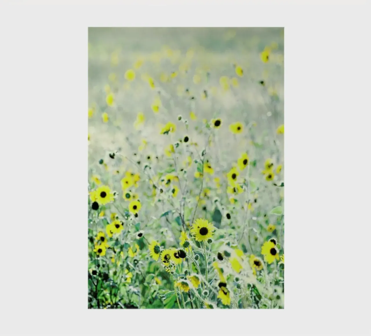 I Will Wait notebook by Robin Delean