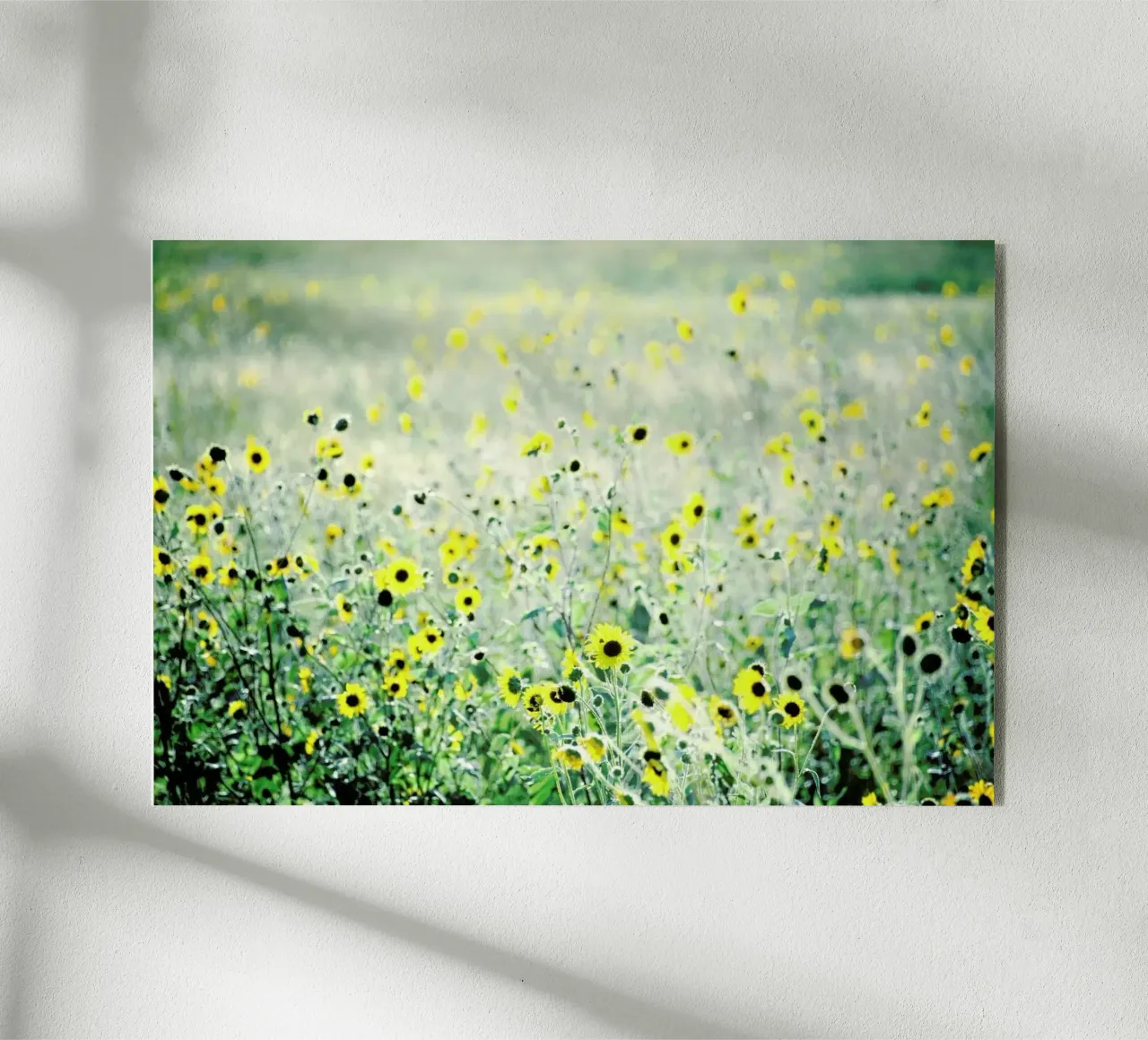 I Will Wait Acryl-Glas von Robin Delean