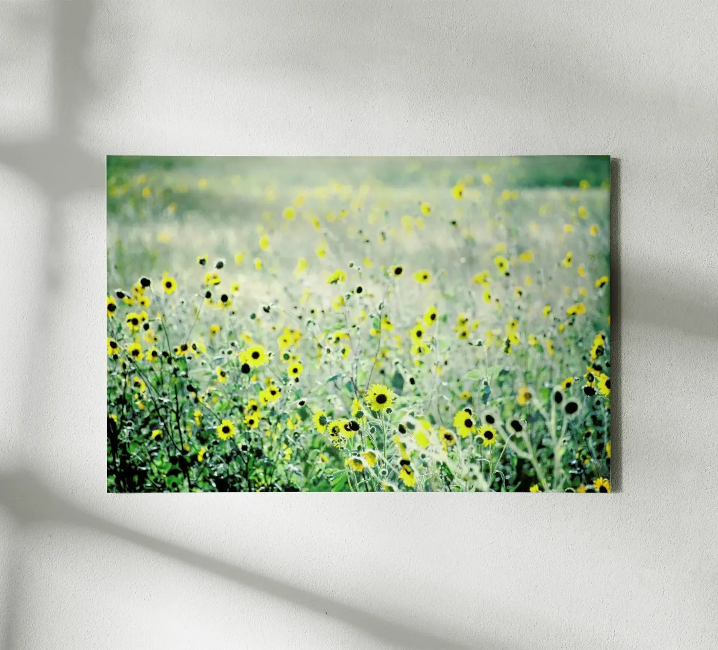 I Will Wait canvas by Robin Delean