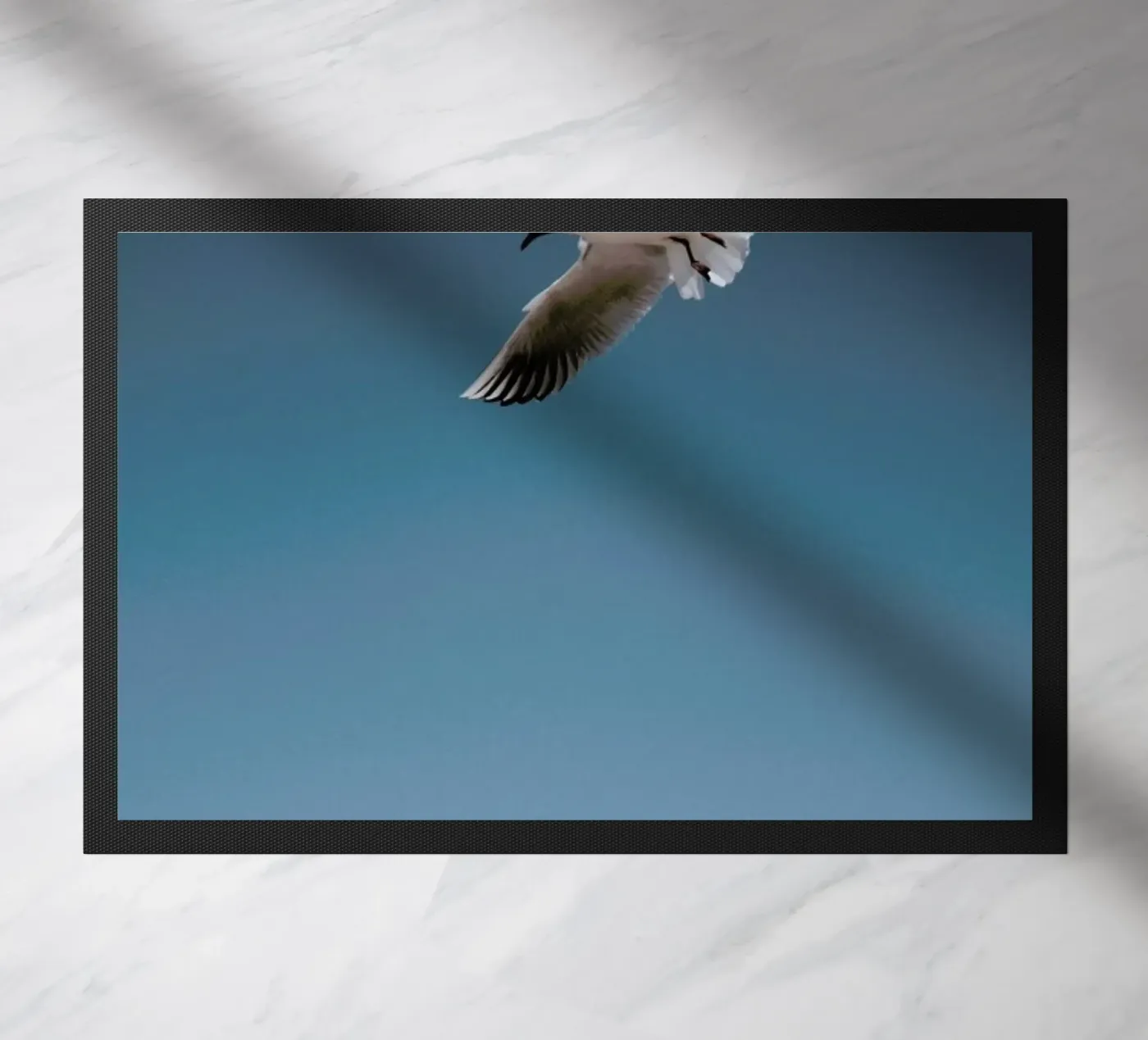 Seagulls I zerbino da Sebastian Hilgetag