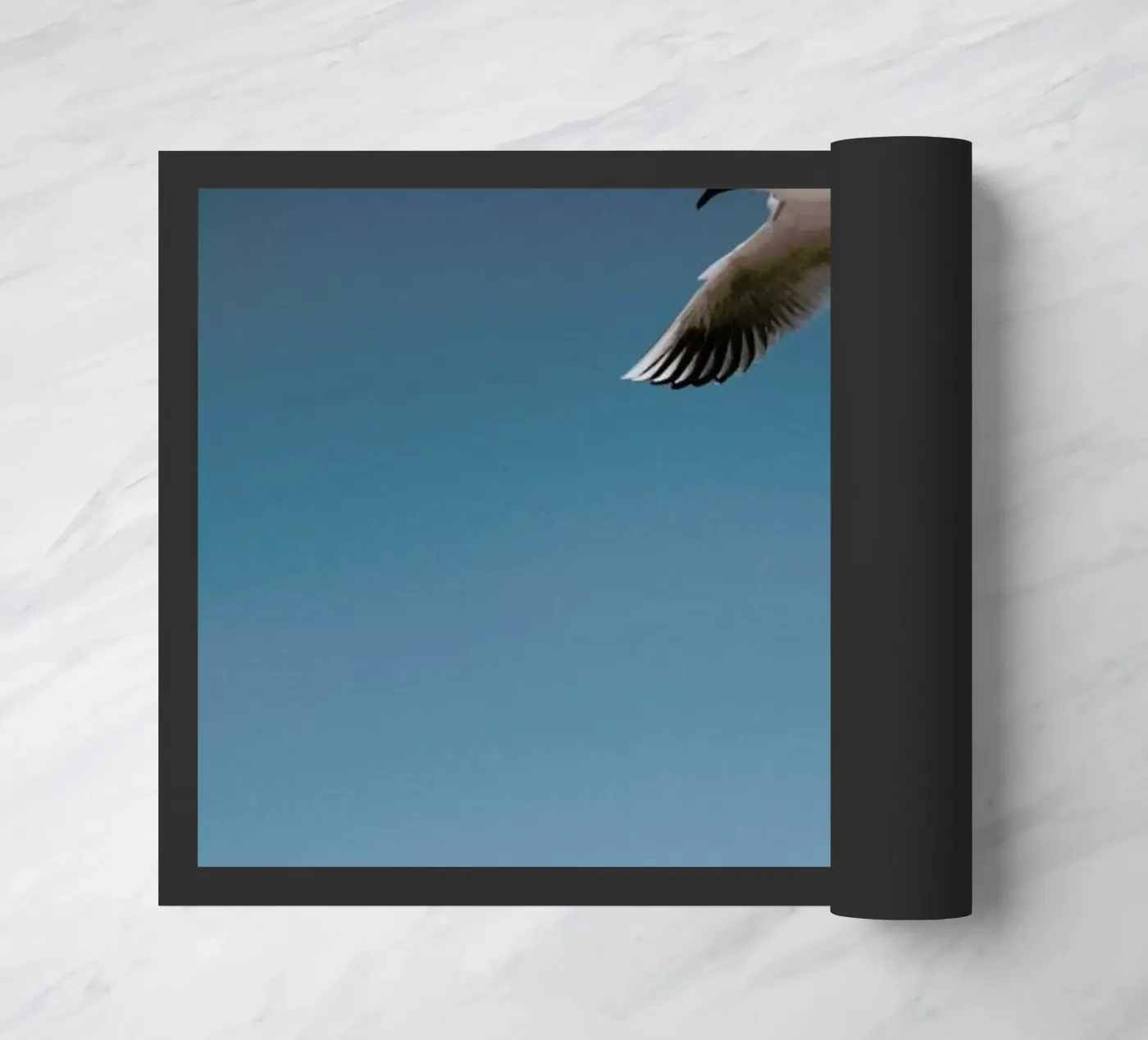 Seagulls I zerbino da Sebastian Hilgetag