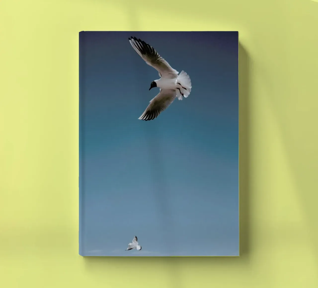 Seagulls I notebook by Sebastian Hilgetag