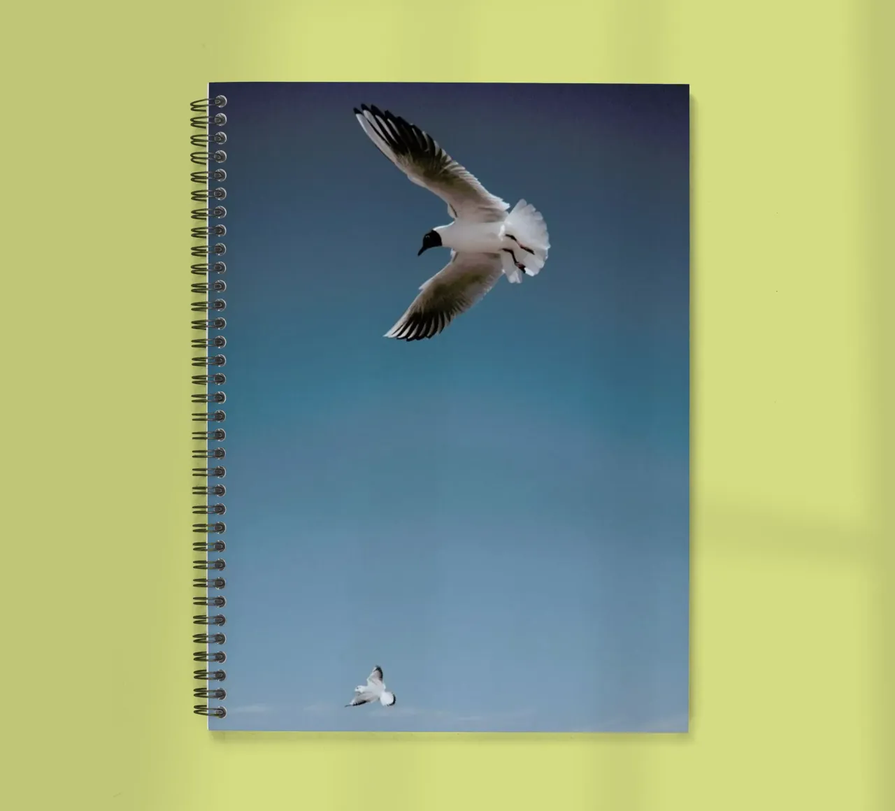 Seagulls I spiral notebook by Sebastian Hilgetag