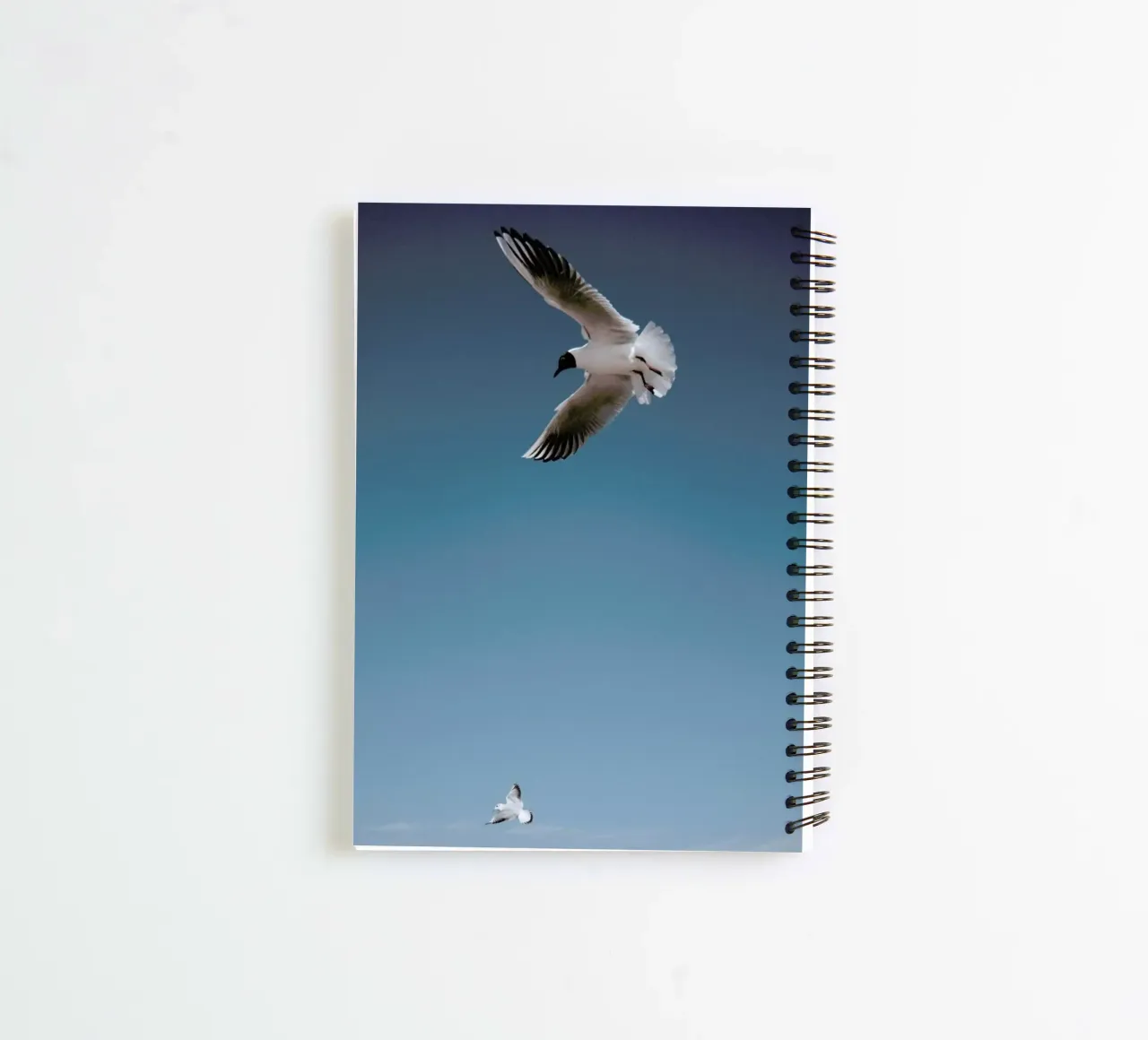 Seagulls I spiral notebook by Sebastian Hilgetag