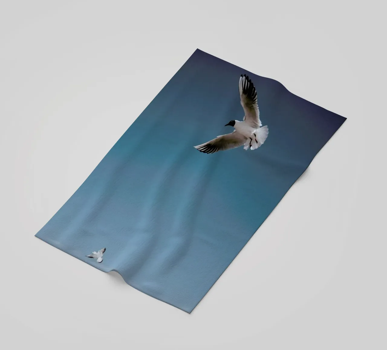 Seagulls I telo mare da Sebastian Hilgetag