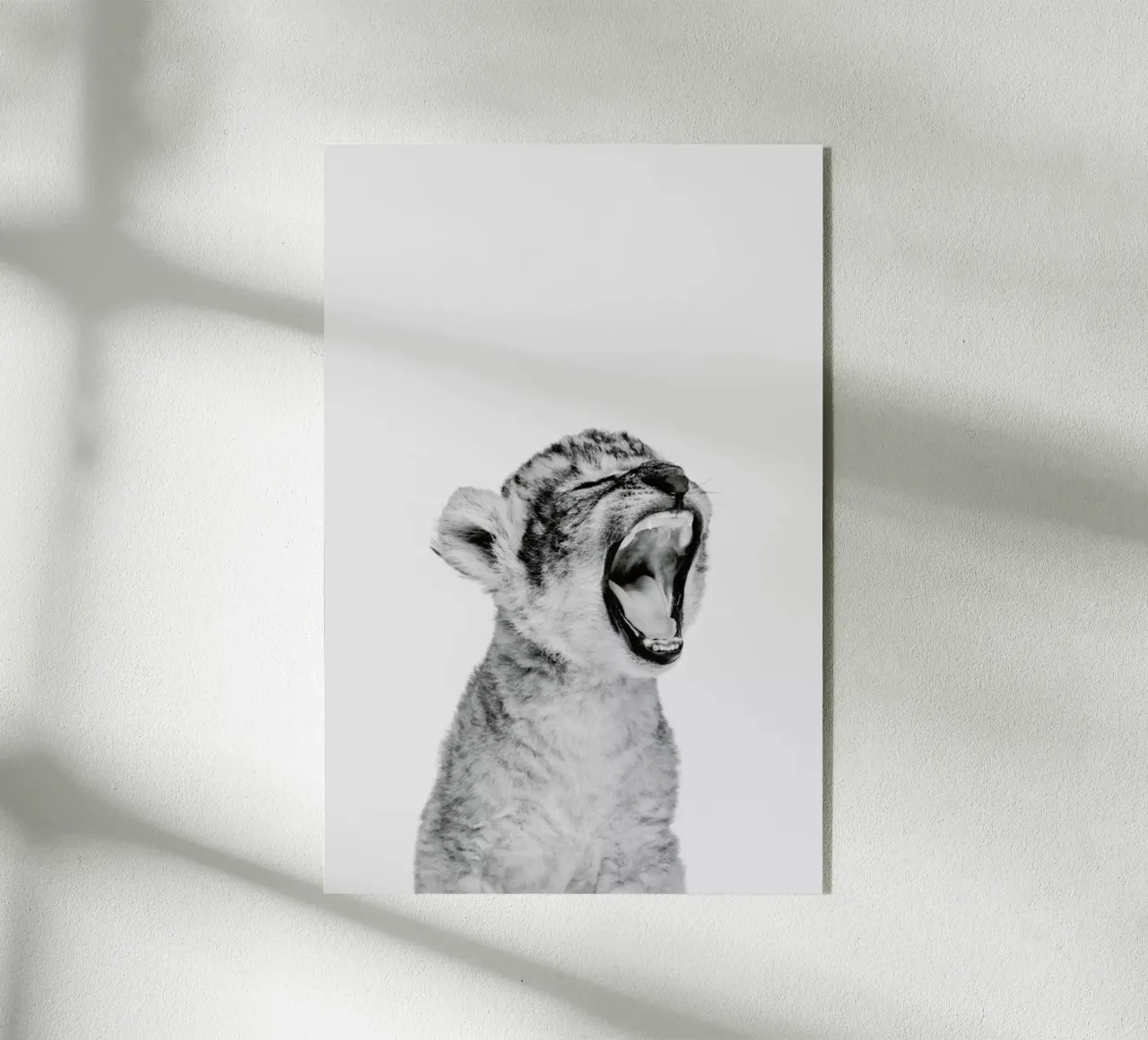 Sleepy Leopard Classic plexiglass da Paws & Claws