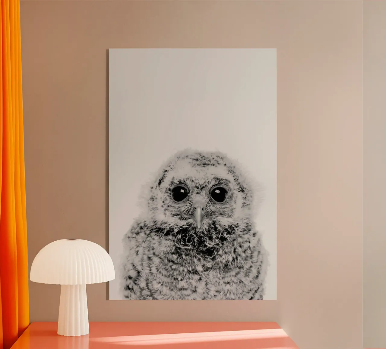Owl III Classic plexiglass da Paws & Claws