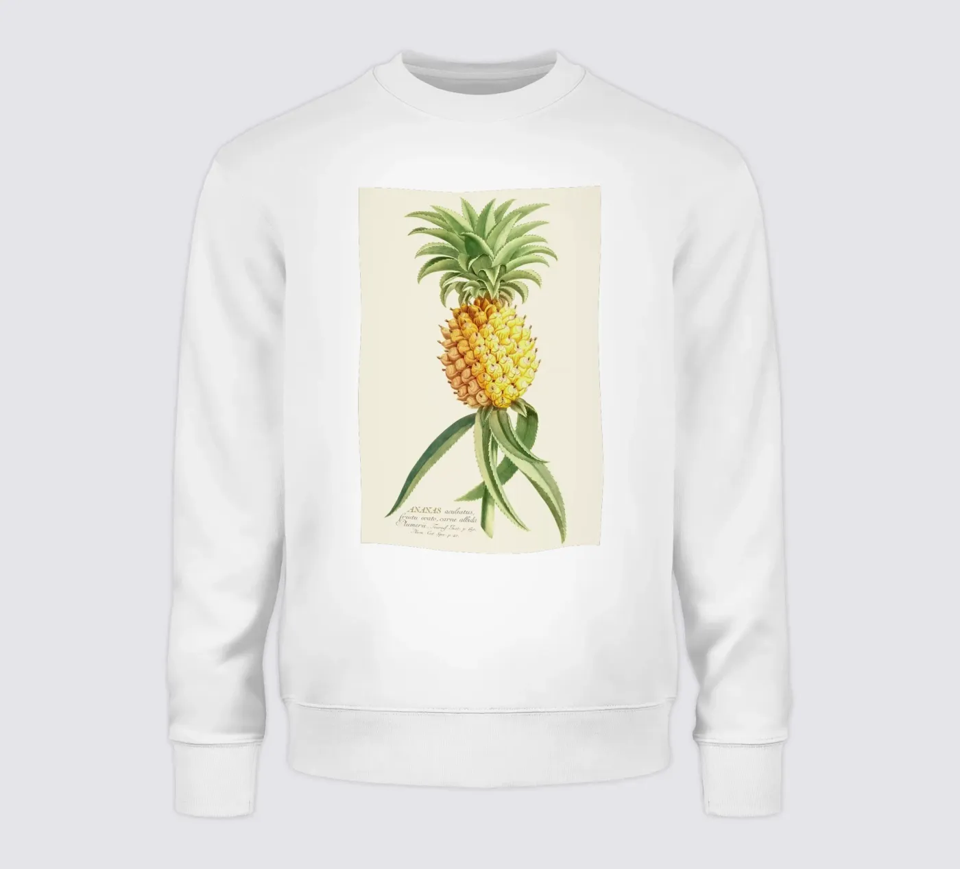 Pineapple 2 felpa da Astër