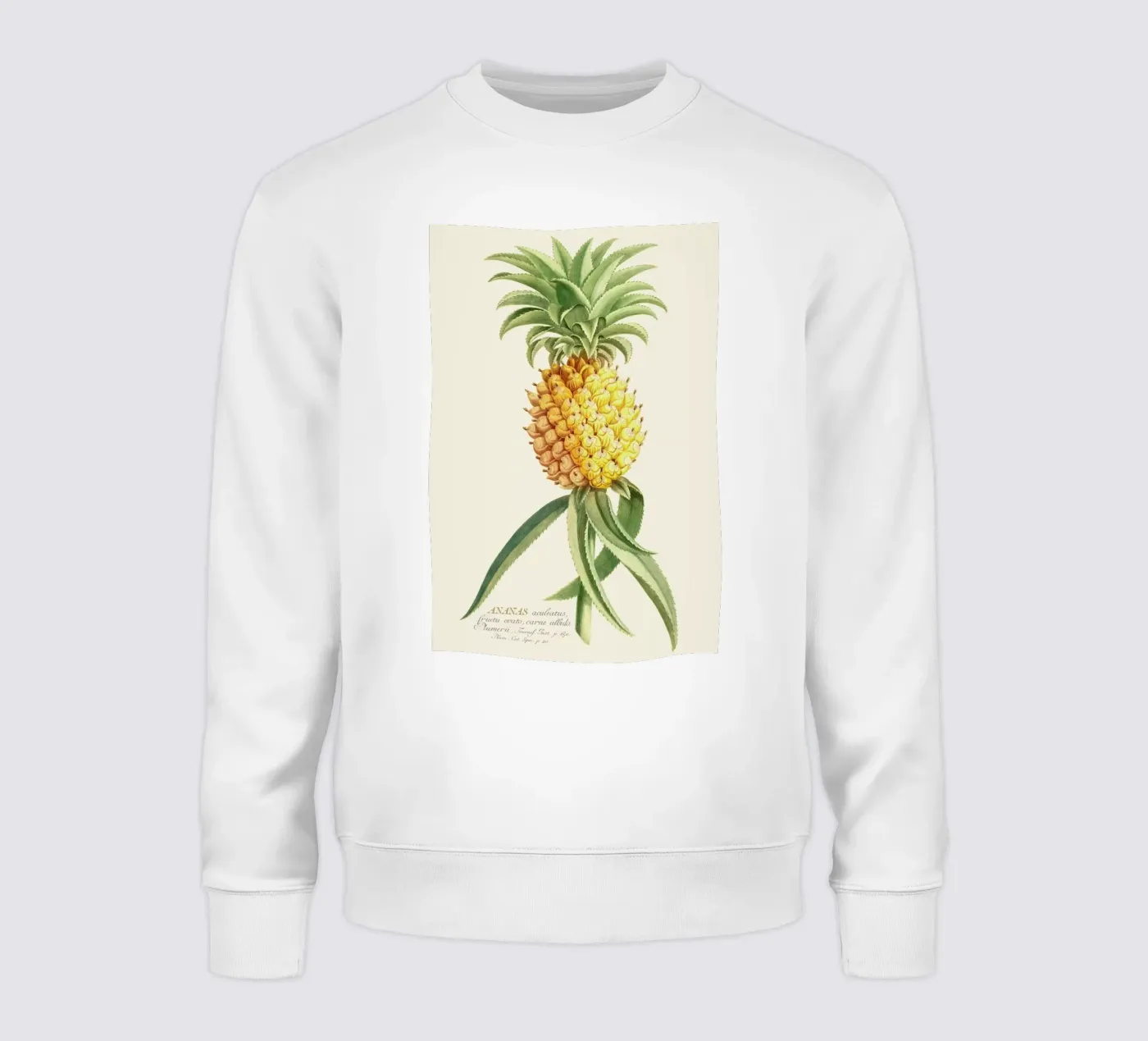 Pineapple 2 sweat de Astër