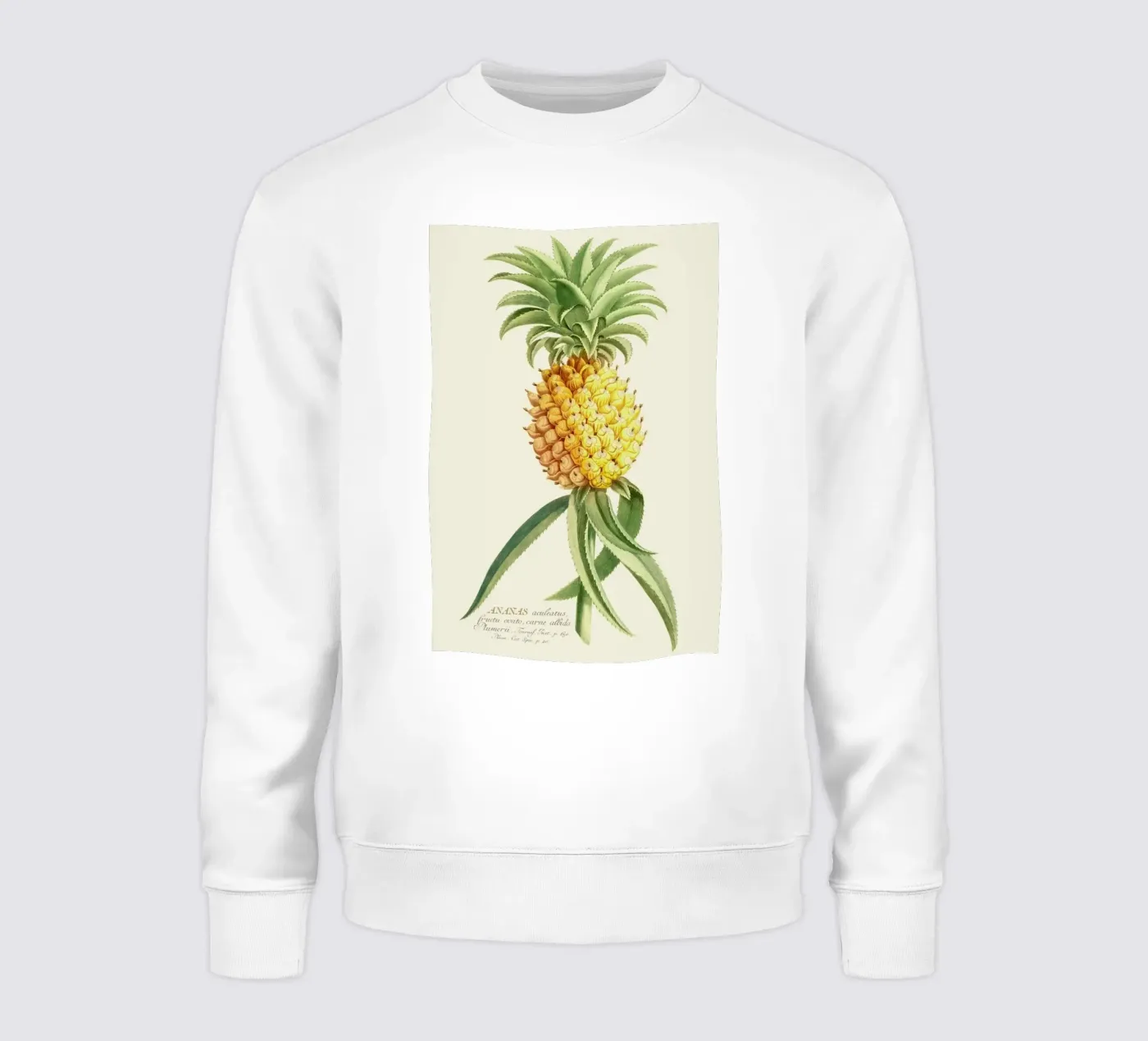 Pineapple 2 sweat de Astër