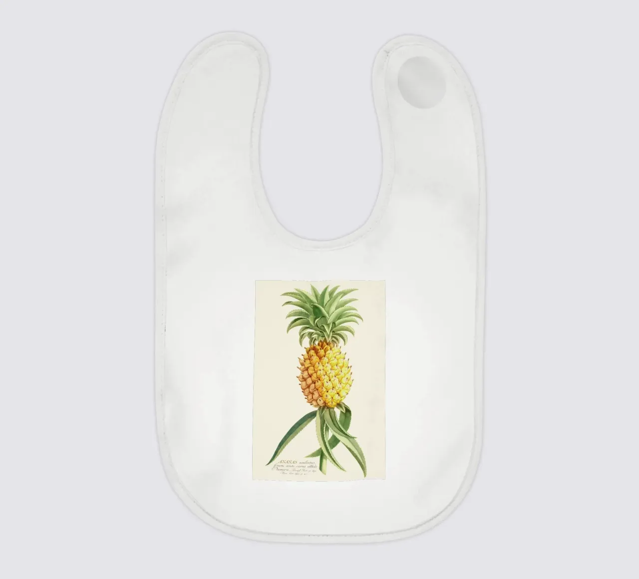 Pineapple 2 bavaglino da Astër