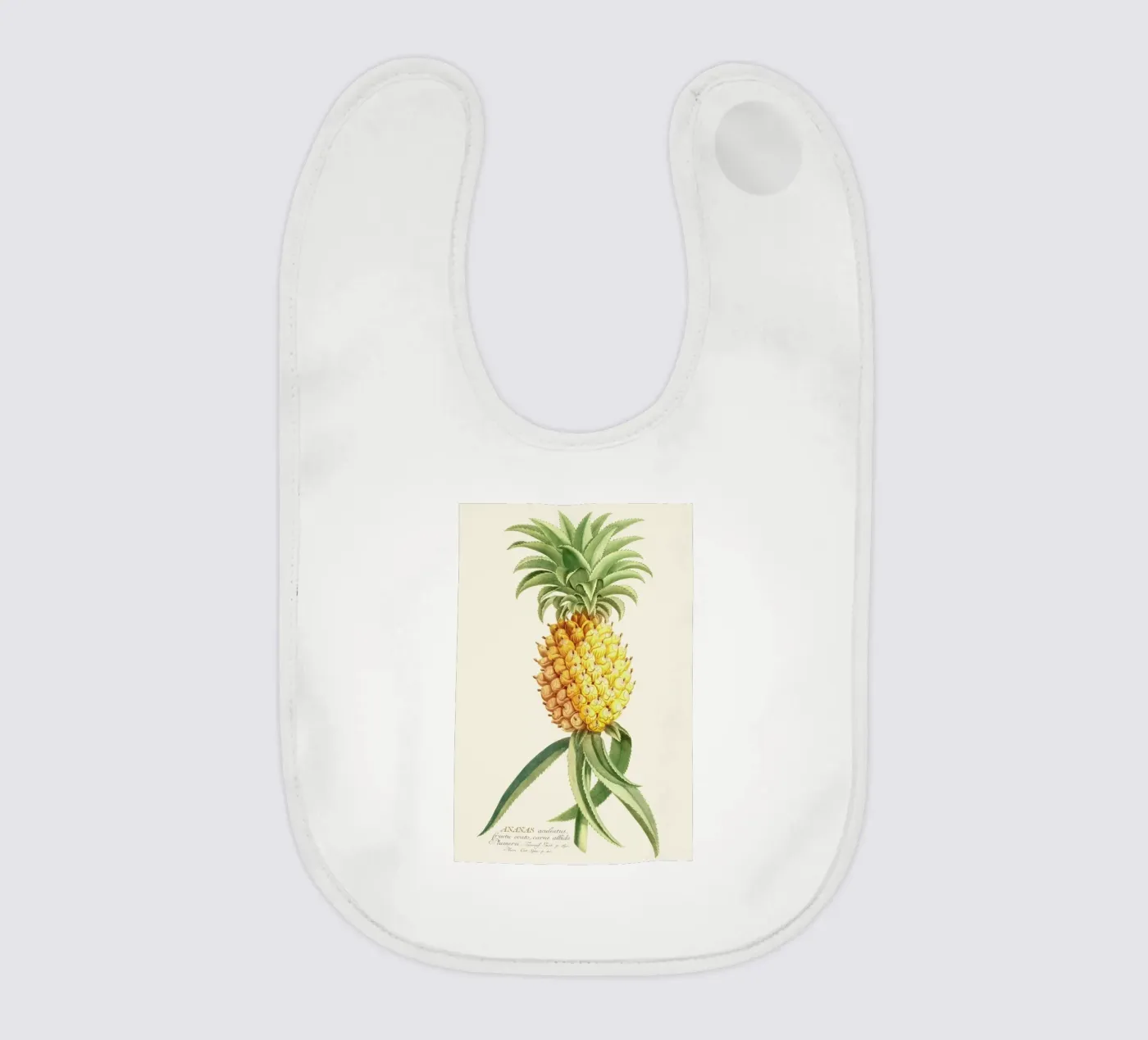 Pineapple 2 bavaglino da Astër