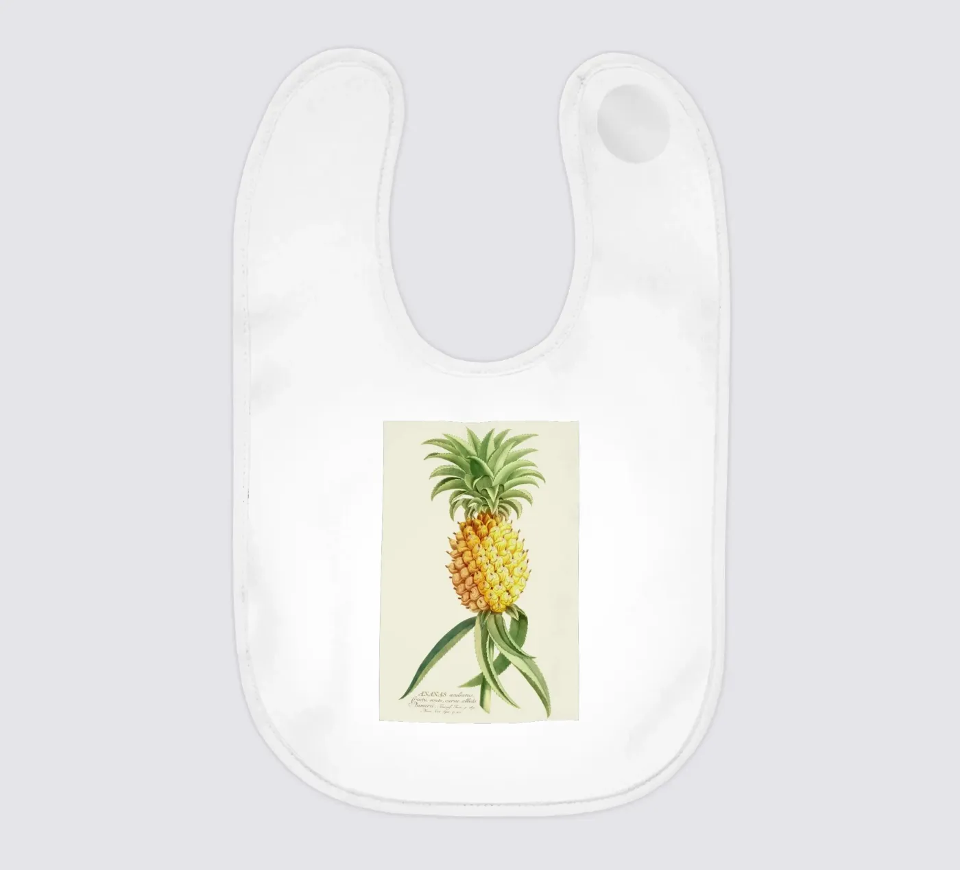 Pineapple 2 bavaglino da Astër