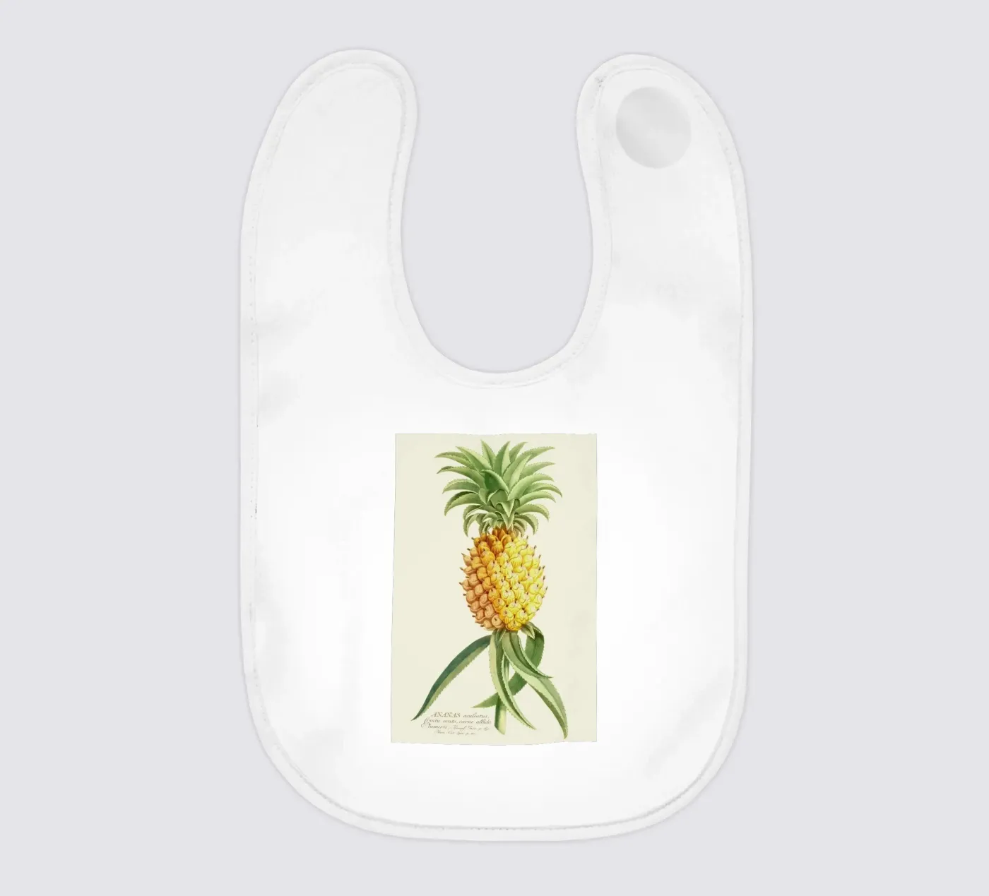 Pineapple 2 bavaglino da Astër