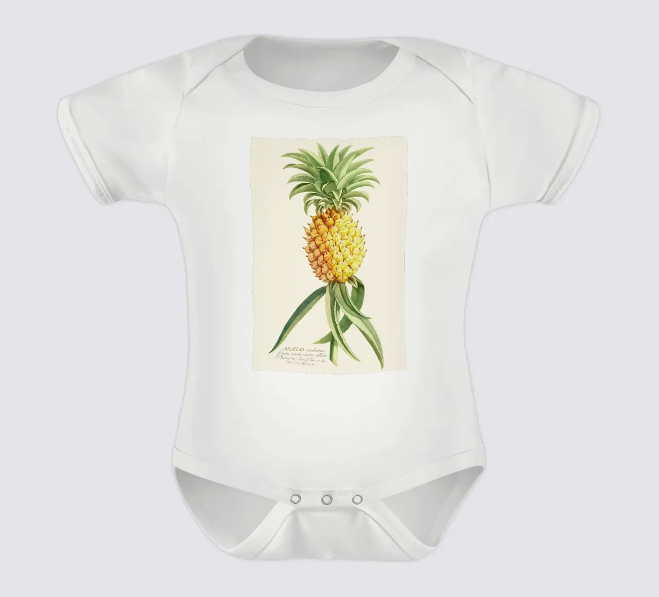 Pineapple 2 body bébé de Astër