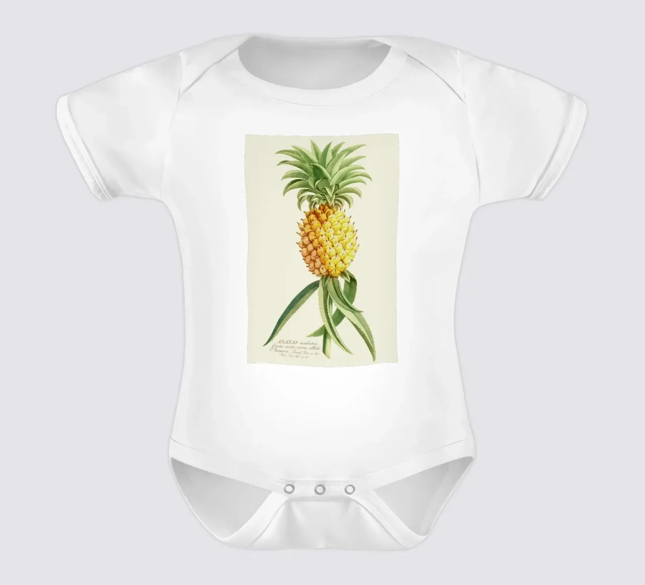 Pineapple 2 body neonato maniche corte da Astër