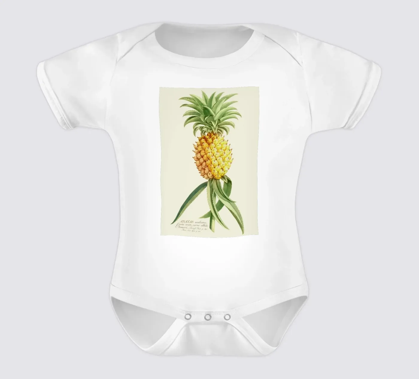 Pineapple 2 body bébé de Astër