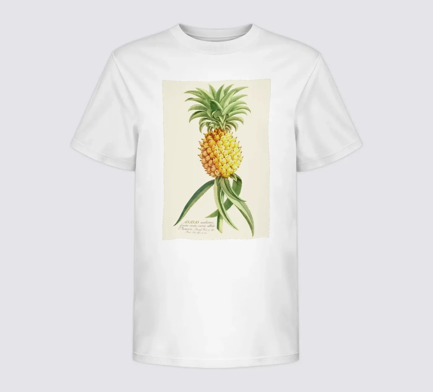 Pineapple 2 Kinder T-Shirt von Astër