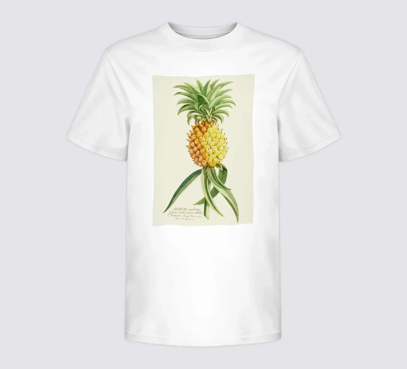 Pineapple 2 Kinder T-Shirt von Astër