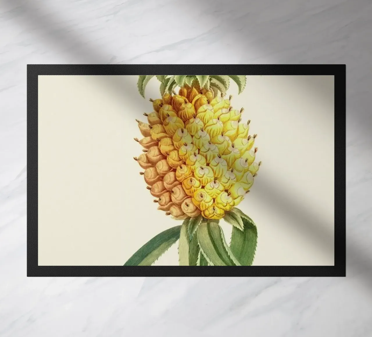 Pineapple 2 zerbino da Astër