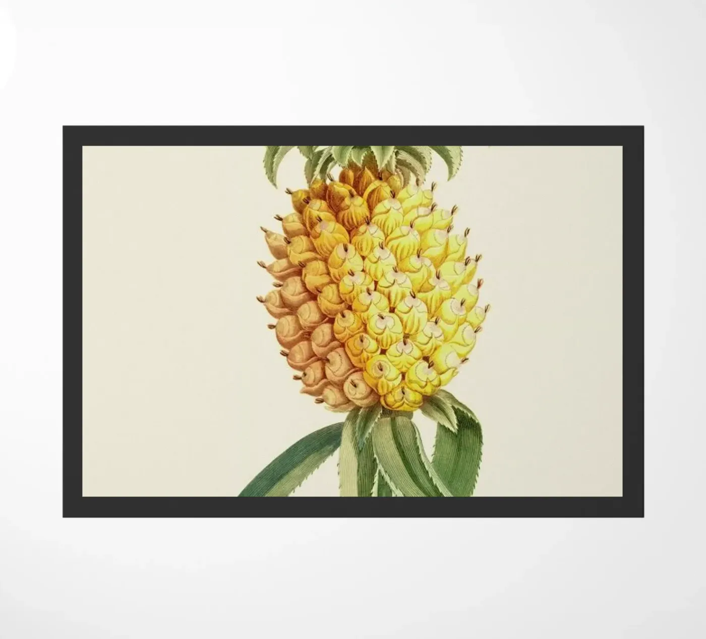 Pineapple 2 doormat by Astër