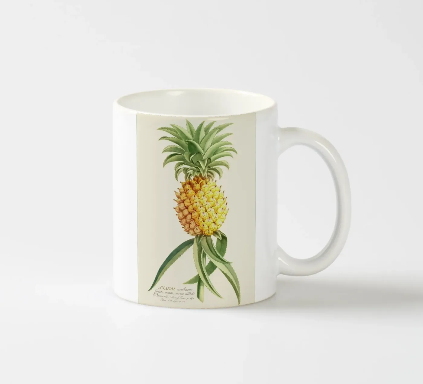 Pineapple 2 tazza in ceramica da Astër