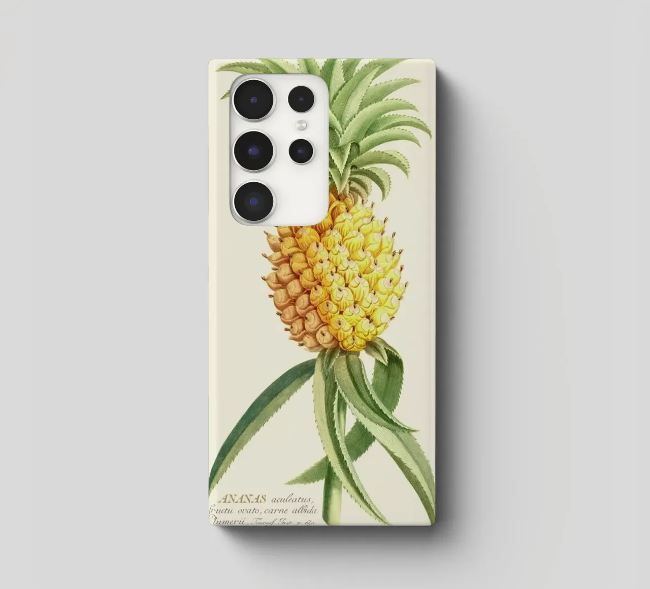 Pineapple 2 cover samsung da Astër