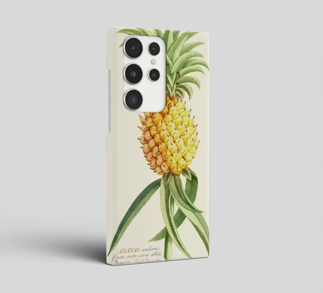 Pineapple 2 cover samsung da Astër
